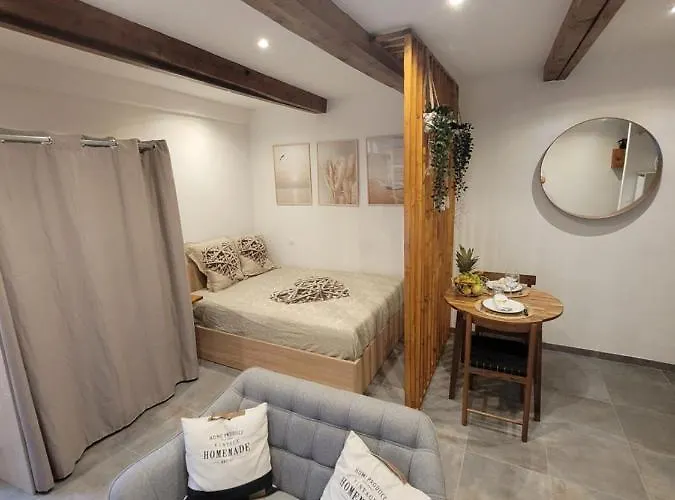 Au Coeur Du Citron Apartment Menton