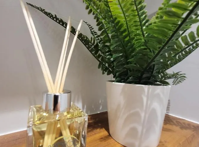 Au Coeur Du Citron * 멍똥